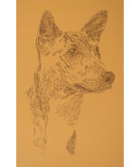 Basenji Dog Breed Art Signed Print #33 Stephen Kline adds your dogs name... - $49.95