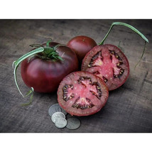 30 Black From Tula Tomato Seeds ~ Heirloomseedguy ~ 2024 ~ Nongmo  From US  - £6.60 GBP