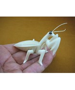 TNE-PRA-321G little Praying Mantis bug TAGUA NUT Figurine VEGETABLE bugs - €38,06 EUR