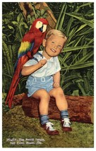 Parrot Jungle Red Road  Miami Florida Postcard - £6.98 GBP
