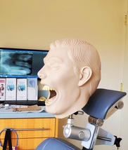 Dental X-Ray Manikin Practice Simulator Phantom Head Complete For Teeth X-Ray Ex - £2,044.44 GBP