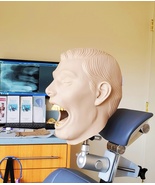 Dental X-Ray Manikin Practice Simulator Phantom Head Complete For Teeth ... - £2,043.73 GBP