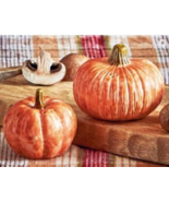 Pumpkin Salt And Pepper Shakers Fall Rustic Table Decoration Oversized Set - £19.46 GBP