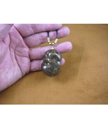 (pp42-34) Real super jumbo MOOSE POOP doo doo nugget 20&quot; NECKLACE Wow we... - €21,50 EUR