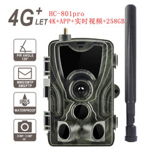 Suntekcam 36MP 4K/30fps Hunting Camera 4G APP Live Show Night Vision Trail - $179.99