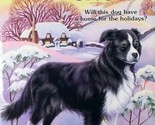 Sheepdog in the Snow (Animal Ark) by Ben M. Baglio / 1995 Scholastic Pap... - $1.13