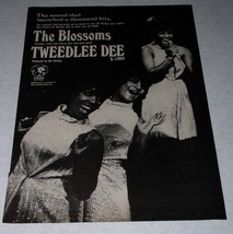 The Blossoms Cash Box Magazine Photo Clipping Vintage 1968 Tweedlee Dee MGM - $19.99