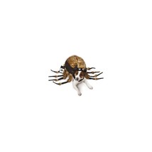 Zack &amp; Zoey Fuzzy Tarantula Costume for Dogs, 16&quot; Medium - $33.15+