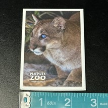 Naples Zoo At Caribbean Garden Magnet Florida Panther - $9.89
