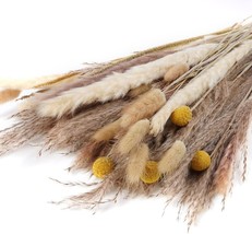 85 PCS Small Pampas Grass Mix Bouquet with Bunny Tails Natural Dried Plants Arra - £19.77 GBP