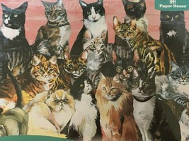 Paper House Jigsaw Puzzle Cat Collage Kittens Cats 1000 Pieces New Seale... - $19.99