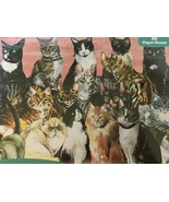 Paper House Jigsaw Puzzle Cat Collage Kittens Cats 1000 Pieces New Seale... - £15.79 GBP