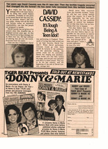 David Cassidy teen magazine pinup clipping it&#39;s tough being a teen idol  - $1.50