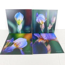 Purple Iris Flower Color Photography Lot of 4 Print Foam Board Botanical Nature - £19.33 GBP