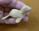 (Q210-10) small baby Seal sea lion Satinwood WOOD carving wooden FIGURIN... - $14.01