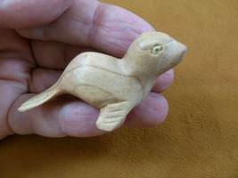 (Q210-10) small baby Seal sea lion Satinwood WOOD carving wooden FIGURIN... - $14.01