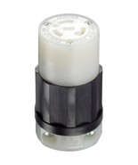 Leviton 021-02313-0PB Hardware Plugs - $40.04 CAD