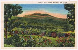 Postcard Camel&#39;s Hump Green Mountains Vermont - £2.17 GBP