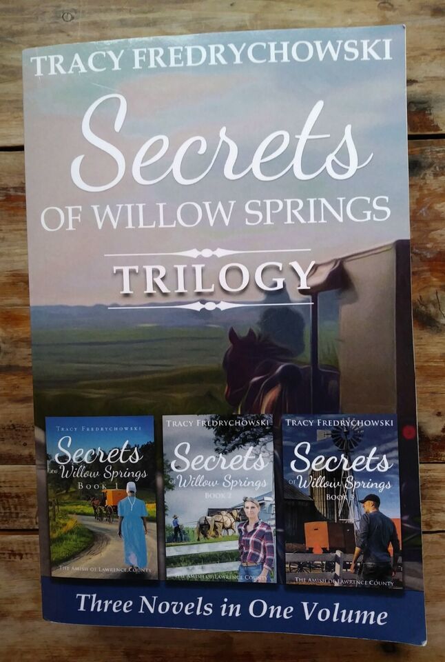 Secrets of Willow Springs Triology, Books 1-3, Tracy Fredrychowski, Pprb... - $15.88