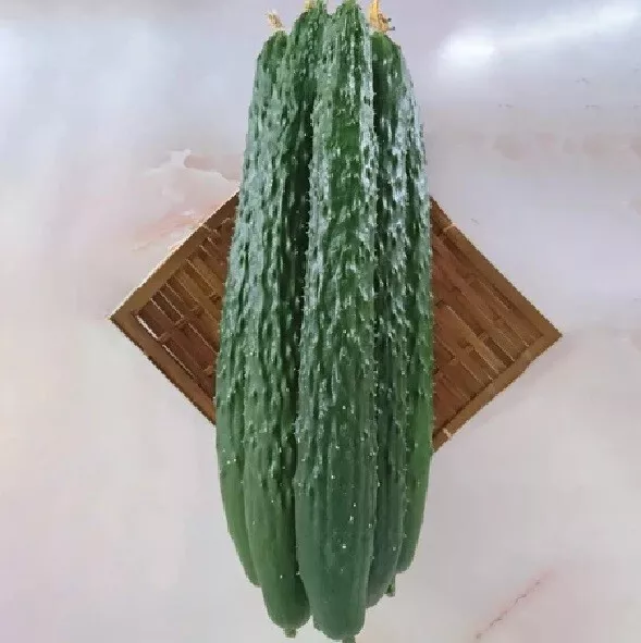25 Seeds Dragon Suhyo Cross Cucumbers - £7.71 GBP