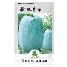 100pcs Wax Gourd Seeds White Ash Gourd Winter Melon Dong Gua - $7.77