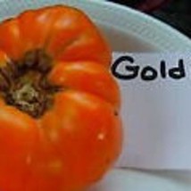 Goldie Heirloom Tomato Seeds Gardening Easy Grow USA SHIPPING - £7.75 GBP