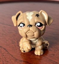 Littlest Pet Shop Authentic # 607 Brown  Bulldog Flowers Coral Orange Eyes - $14.45