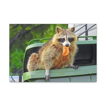 Raccoon Hunting Raccoon on Hunt Print Animal Wall Art Wildlife Canvas Prints Wa - £56.34 GBP+