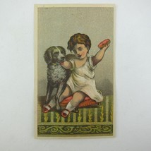 Victorian Trade Card Child Guards Food Border Collie Dog Red Stool Green Carpet - £7.98 GBP