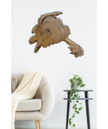 Wall Art Root Wood Tree Disc Teak Wood Decoration Wall Decor - $103.89