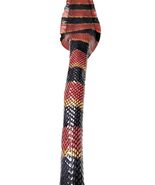 Genuine Elaphe Snake Skin Leather Easter Cora... - $22.00+
