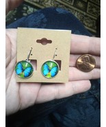 Wings Of Blue Earrings green silver - $18.00