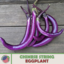 25 Seeds Chinese String Eggplant Rapid Beauty with Heirloom Garden Seeds - $8.35