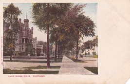 Potter Palmer Mansion Lake Shore Drive Chicago Illinois IL UDB Postcard E14 - $2.96