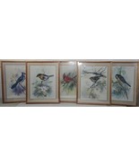 Lot Of 5 Bird Prints Framed Under Glass Blue Jay Cardinal Blue Tit Robin  - $115.45 CAD