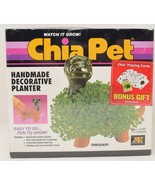 Dinosaur Chia Pet Decorative Planter Sealed with Chia Playing Cards NIB - €29,47 EUR