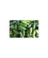 50 Cucumber Calypso F1 Hybrid Great Garden Vegetable Seeds - £7.06 GBP