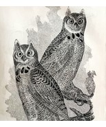 Large Horn Owl Victorian 1856 Bird Wood Engraving Antique Nature Ephemer... - $54.87 CAD