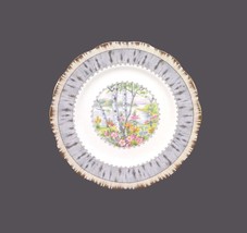 Royal Albert Crown China Silver Birch bone china bread plate made in England. - $35.96