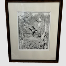 Walter Bohl Signed Etching 55 of 100 DUCK Limited Edition Framed Mat Dropping In - £139.52 GBP