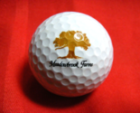 Vintage Collectable Golf Ball Meadowbrook Farms Maxfli XS Tour Elasticor... - $12.86