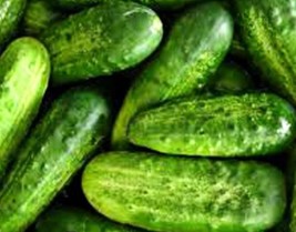 HGBO National Pickling Cucumber Heirloom Nongmo Seeds 25 Seeds Cucumber Seeds Fr - £6.52 GBP