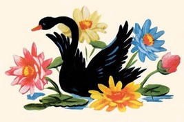 Black Swan - Art Print - £17.36 GBP+