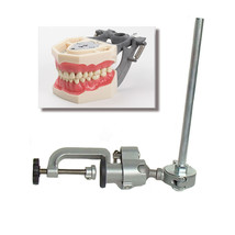 Dental Typodont  FG3 / AG3 and Pole Mount Compatible w/ Frasaco Brand Teeth  - £95.91 GBP
