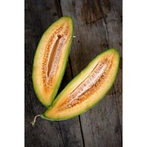 THJAR Banana Melon Seeds (20 Seeds) | Non-Gmo | Heirloom | Fresh Garden Seeds - $17.92