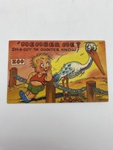 vintage comic postcard Funny Zoo ‘member Me Pelican Hicks 1956 - $7.95