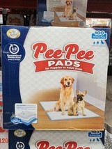 Pee Pee Training Pad - $23.87