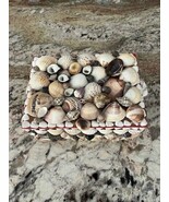 Seashell Shell Art  Trinket Jewelry Box Boho Beachy Souvenir Barbados Felt - $17.62 CAD