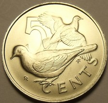 Rare Gem Unc British Virgin Islands 1974 5 Cents~12,000 Minted~Doves~Fre... - £4.36 GBP