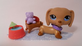 LPS #518 Dog Dachshund Lot Brown w Blue Eyes with accessories - $60.49